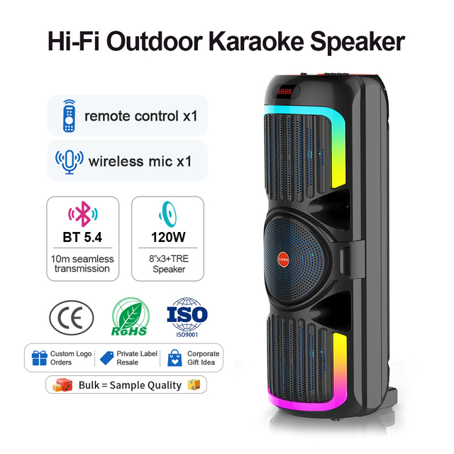Professional Portable Active Speakers for Stage Karaoke RGB Wireless Microphone Support Mobile Phone Compatible Big Power Double
