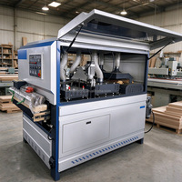 Machine automatique de polissage à brosse pour le travail du bois, machine de ponçage de surface pour portes d'armoires, pour la finition de meubles en bois massif et panneaux MDF