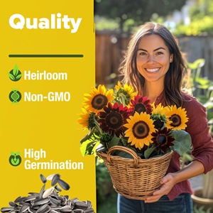 Accueil Cultivé 1000 + tournesol fleur jardin truie Kit paquets 8 variétés dont nain sauvage <span class=keywords><strong>automne</strong></span> beauté tache solaire fleur croissante - Product Image 3