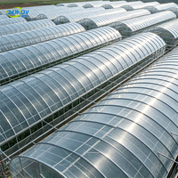 Serre agricole professionnelle multi-travées en film CE, tunnel en acier galvanisé avec refroidissement par ventilateur