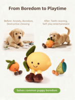 Fruitvormig pluche latex hondenspeelgoed piepend bijtbestendig tandjes ontwikkelen kauwen interactief voor kleine honden verveling verlichting dierbenodigdheden
