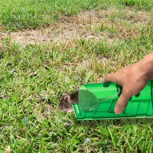 Durable Plastic Rodent Bait Station Mouse and <b>Rat</b> Trap <b>Box</b> for Home and Commercial Pest Control - Product Image 4