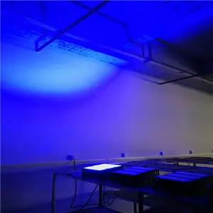 Outdoor 100w 200w 250W Einzigen Farbe RGB LED Flutlicht LED Blau Farbe Garten Projektor Licht
