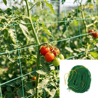 Filet de treillis pour plantes en HDPE pliable, portable, résistant aux UV, facilement assemblable, personnalisable, fourni directement par l'usine