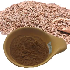 Factory Supply high quality Carum carvi L. Caraway Seeds Extract Powder Caraway Extract