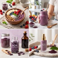 Poudre de Myrtille de Qualité Alimentaire Fournie par l'Usine, Anthocyanine Sauvage, Poudre Fine Violet Foncé en Fût, Soluble Instantanément pour Smoothies