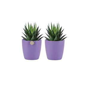 Pot de fleurs en plastique de 2 pouces, mini pot de plantes, petit pot pour plantes d'intérieur et d'extérieur, semis, herbes, succulentes - Product Image 1
