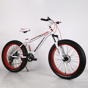 QUEENE/45-55 km/h gros pneu VTT électrique 48v 1000w vélo électrique 26 <span class=keywords><strong>pouces</strong></span> ebike chasse E-Bike pour adultes - Product Image 3