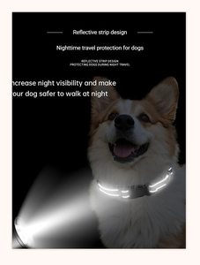 Collar Reflectante <span class=keywords><strong>de</strong></span> Nailon para Perro, Correas <span class=keywords><strong>de</strong></span> Seguridad <span class=keywords><strong>de</strong></span> Alta Visibilidad para el Cuello del Perro, Collar Ajustable para Perros Pequeños, Medianos y Grandes, y Cachorros - Product Image 1