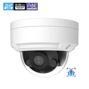 Full HD 5MP AI yüz algılama PoE IP izleme dome kamera 2.8-4mm lens WDR power over ethernet 5 mp güvenlik güvenlik kamerası