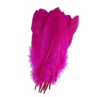 Plumes d'oie naturelles pour l'artisanat, le bricolage, la décoration de stylos, les coiffes, les costumes, les chapeaux, les accessoires capillaires, les fêtes de carnaval, les mariages, la décoration intérieure et les décorations de Noël