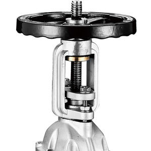 Guangdong Magnesium Special Gate Valve 304 Stainless Steel Flanged Soft Seal Double Gate Water Use - Product Image 3