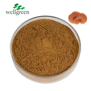 Natural Source Essence Ingredients Organic Ganoderma Lucidum Reishi Mushroom Powder Extract