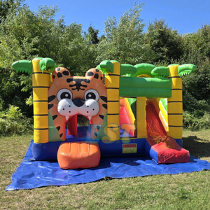 Çocuklar için slayt ve Blower zıplayan kale ile özel şişme oyun parkı şatosu <span class=keywords><strong>Tigger</strong></span> şişme sıçrama ev - Product Image 3