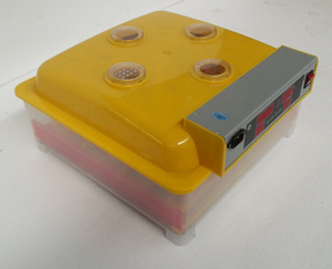 Yz-56s kuluçka/ZH-56chicken yumurta kuluçka/56egg kuluçka makinesi (<span class=keywords><strong>Judy</strong></span>: 0086.13791327428) - Product Image 6