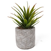 Vente directe Oh Arts Supplier : Plantes succulentes artificielles avec pot en ciment pour décoration intérieure
