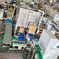 Ligne d'emballage automatique pour aliments pour animaux de compagnie, machine d'emballage VFFS, ligne d'emballage en carton, ligne de palettisation