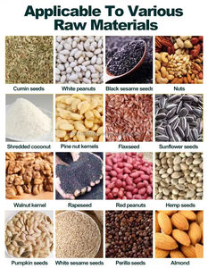 Prensa de Aceite Industrial de Tornillo de Presión en Frío de 100-175 kg/h, Equipo de Extracción de Aceite de Soja, Oliva y Palma de Acero Inoxidable de Alta Calidad - Product Image 6