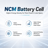 Cellule de batterie lithium-ion NMC carrée monocellulaire de haute qualité MSCE pour le stockage d'énergie