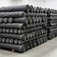 Vente en gros d'usine, tissu en taffetas 100% polyester, léger, toucher doux, largeur 150 cm, pour vêtements, doublure de blazer