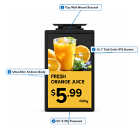Label Rak Elektronik 10.1 Inci Full Color WiFi Bluetooth, Label Harga Digital LCD ESL untuk Supermarket, Display Retail, Pemasangan di Dinding