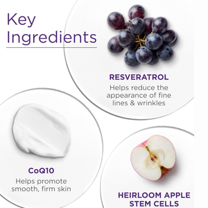 Crème <span class=keywords><strong>de</strong></span> <span class=keywords><strong>nuit</strong></span> au resvératrol aux baies végétaliennes Hydratant naturel anti-âge pour <span class=keywords><strong>le</strong></span> visage Soin lifting raffermissant et hydratant - Product Image 3