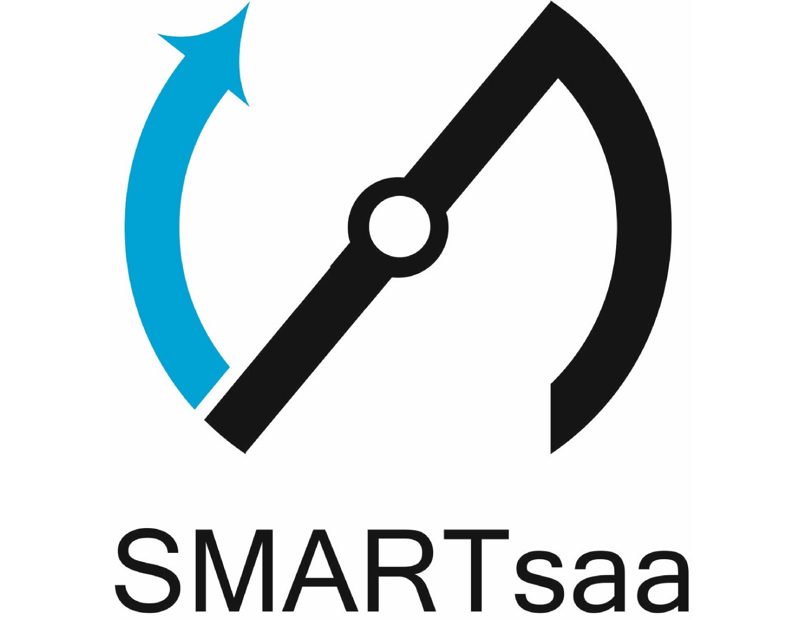 SMARTSAA INSTRUMENTS (I) PRIVATE LIMITED logo