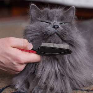 抗ノミショートドッグコーム環境に優しいステンレス鋼TPR ppペット脱毛ブラシグルーミングツール - Product Image 5