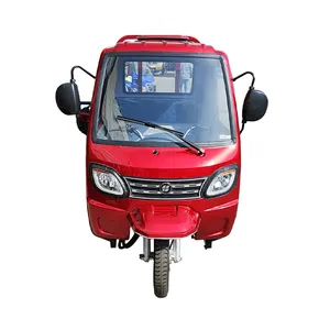 Carico pesante a benzina Cargo triciclo ad alte prestazioni moto tre ruote di sicurezza e popolare triciclo motorizzato