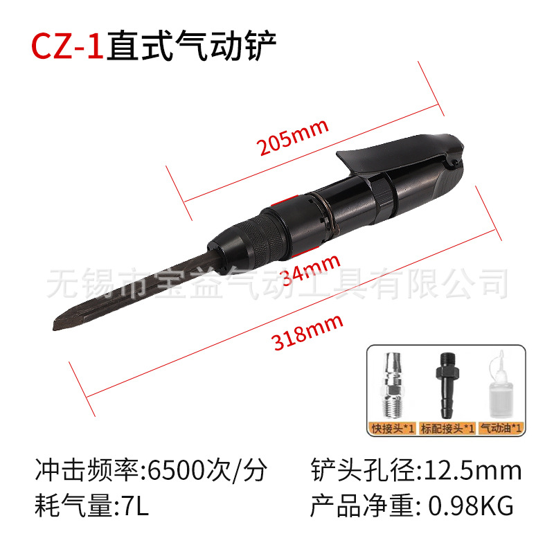 CZ1