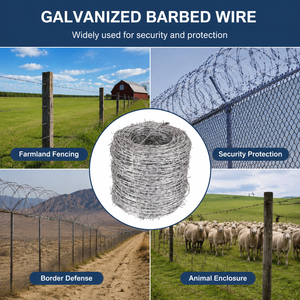 Rust Resistant Galvanized Barbed Wire for Private Land Border Protection, Strong Tensile Structure LandProtection <strong>GalvanizedWire</strong> - Product Image 4