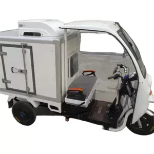 Adult Electric Tricycle Ice Cream Transport Three Wheel Cart Refrigerated Three-wheeled Cars