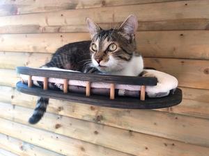 <span class=keywords><strong>WOWO</strong></span>-mueble de árbol de madera para gato, nuevo diseño, alta calidad - Product Image 3