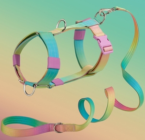 OEMグラデーションタクティカルヘビーデューティー2インチコンバットドッグカラーリーシュハーネス、スライバーメタルハンドルネオプレンパッド入りドッグハーネス - Product Image 3