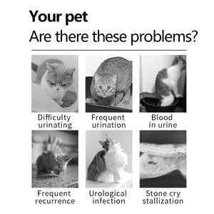 อาหารเสริมแครนเบอร์รี่เสริมระบบทางเดินปัสสาวะสำหรับสุนัข - Product Image 2