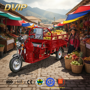 Tricycle à moteur essence 3 roues avec benne ouverte pour usage agricole, commercial et domestique – Vente en gros Chine - Product Image 1