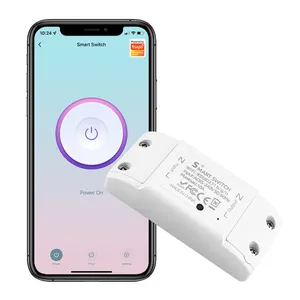 SMATRUL-interruptor WiFi Tuya, control remoto inalámbrico por voz, módulo de relé de luz, temporizador, Google Home, Alexa, 220V