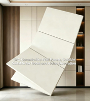 Panel Dinding SPC Modern dengan Finishing Mengkilap, Tahan Api, Ramah Lingkungan untuk Dinding