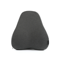 Chaise de bureau pour voiture, colonne vertébrale, taille en maille, coussin orthopédique en mousse à mémoire de forme, Support lombaire