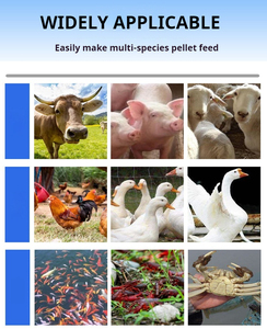 Pièces de rechange de haute qualité pour granulateur d'aliments pour animaux, moulin <span class=keywords><strong>à</strong></span> rouleaux, diverses matrices de moulin, machine <span class=keywords><strong>à</strong></span> granulés pour animaux, 120 kg/h - Product Image 2