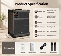 CSW-08 Haut-parleur extérieur haute puissance de 8 pouces, haut-parleur portable de karaoké PA rechargeable