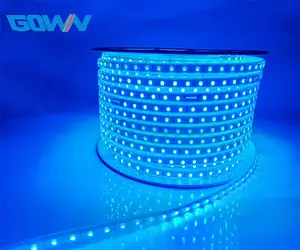 Alta calidad AC110V 220V 60leds/M tubo de una sola fila impermeable IP67 5050RGB tira de LED para exteriores - Product Image 1