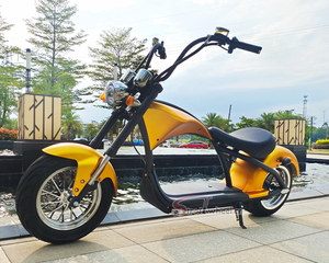มอเตอร์ไซค์แบตเตอรี่ 2000w 60v 20ah สำหรับผู้ใหญ่ - Product Image 2