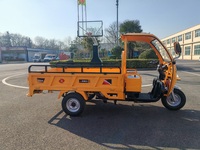 Vente directe d'usine, véhicule à trois roues, utilisation agricole, tricycle à batterie pour livraison et transport de passagers
