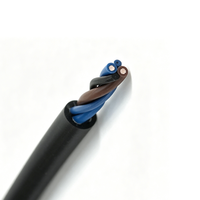 Câble de chaîne porte-câbles TRVV en cuivre pur, ignifuge, haute flexibilité, résistant à la chaleur, multiconducteurs, indice de protection IP68, 500V, usage industriel