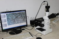 Computer Type Trinocular Upright Multifunction Metallographic Microscope With Polarizing Darkfield and Dual Lights From China