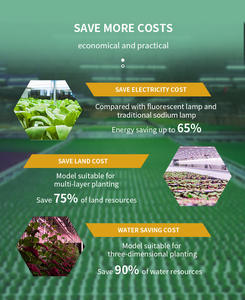 <span class=keywords><strong>Lampe</strong></span> végétale professionnelle Cob IP65 Tube <span class=keywords><strong>de</strong></span> lumière <span class=keywords><strong>de</strong></span> remplissage à économie d'énergie spectre complet élèvent la lumière pour les légumes <span class=keywords><strong>de</strong></span> <span class=keywords><strong>Culture</strong></span> <span class=keywords><strong>de</strong></span> tissus <span class=keywords><strong>de</strong></span> <span class=keywords><strong>semis</strong></span> - Product Image 6