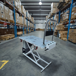 Chariot élévateur électrique compact Shouwo 2025 – Nouvelle plateforme de levage à ciseaux de 1000 mm pour restaurants, capacité 250 kg - Product Image 1