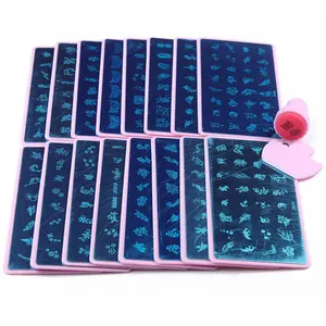 Jinyi Hot Sale 6*12 Metal Plate With Pink Plastic Holder Nail Art Image Custom Nail Art Stamping Plates