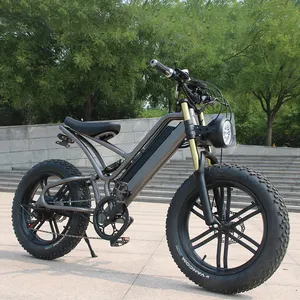 2022 Aluminum alloy 750W 20 inch Fat Tire MTB snow e-bike Hydraulic Disc Brake Lithium Battery Electric city bike Chopper